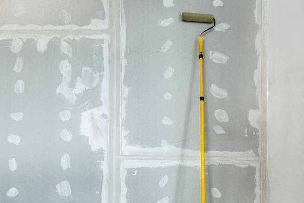 Best Drywall Repair  in Ogden, IA