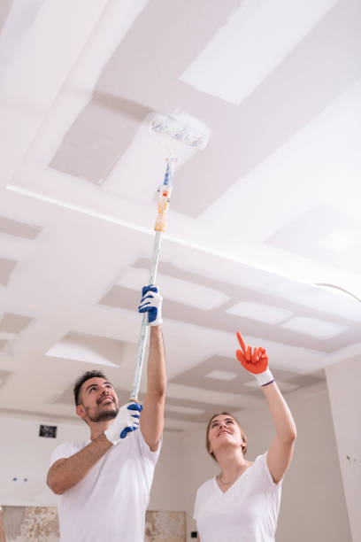 Best Ceiling Drywall Installation  in Ogden, IA