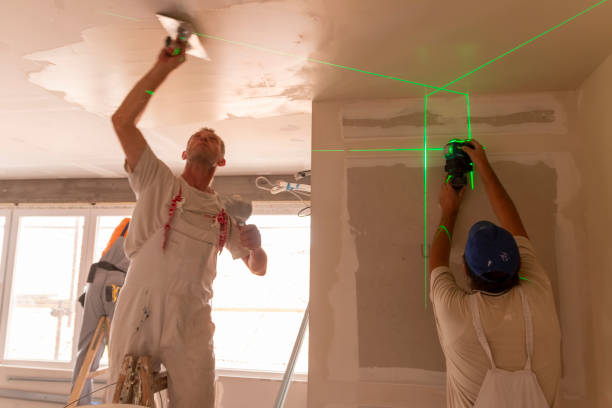 Best Drywall Crack Repair  in Ogden, IA