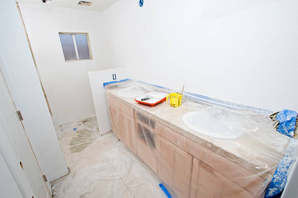 Best Drywall Texturing  in Ogden, IA