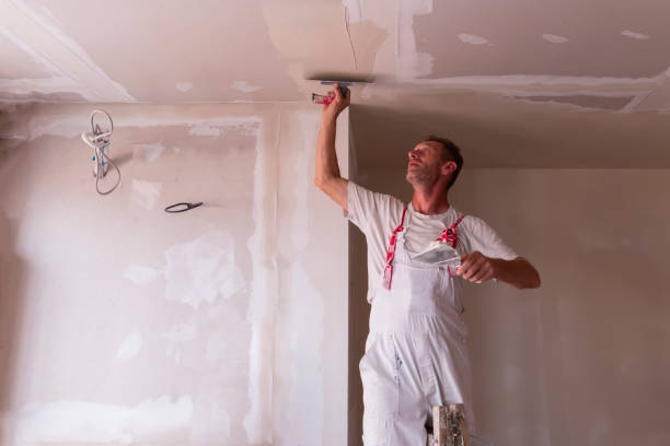 Best Drywall Removal and Disposal  in Ogden, IA