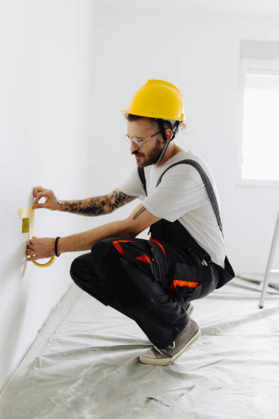 Best Fire-Damaged Drywall Repair  in Ogden, IA